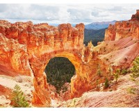 Los Angeles+ Las Vegas+ Lower Antelope Canyon+ Arches National Park+ Salt Lake City+ Yellowstone National Park+ Grand Teton National Park+ Bryce Canyon National Park 7-day Tour