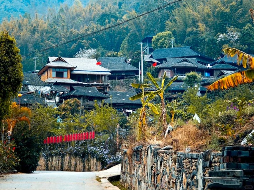 10月27日11月10日12月8日 26CTPEBN08 普洱景邁山·版納雨林8日7晚 ~季節精選