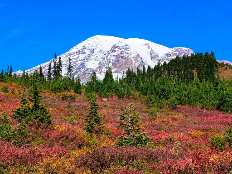 美國 雷尼爾火山國家公園 1日遊【西雅圖當地出發】