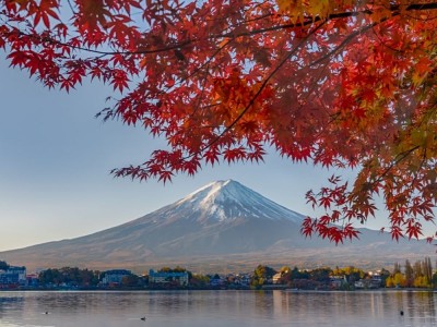 2025日本楓葉節~季節精選 舞動秋日夢 豪華美食純玩11日9晚 (11月20日限定出發)