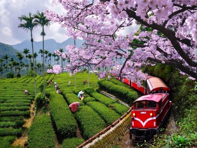 台灣9天之旅
