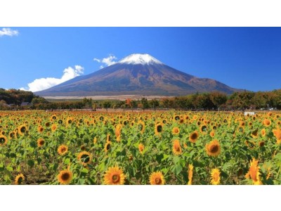 (2026|TF5) 5天日本東京富士山
