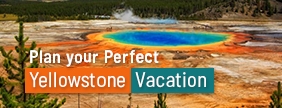 yellowstone tour package